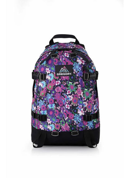Gregory All Day V2.1 backpack 24 liters licensed in Hong Kong