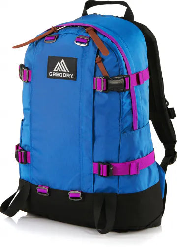 Gregory All Day V2.1 backpack 24 liters licensed in Hong Kong