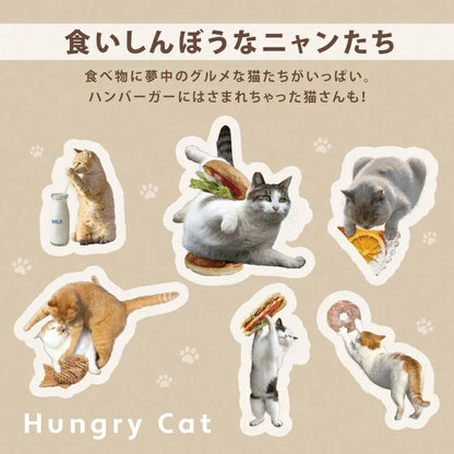 WPC X MASAYUKI  OKI PT-OM005-002 Beige Size 61cm